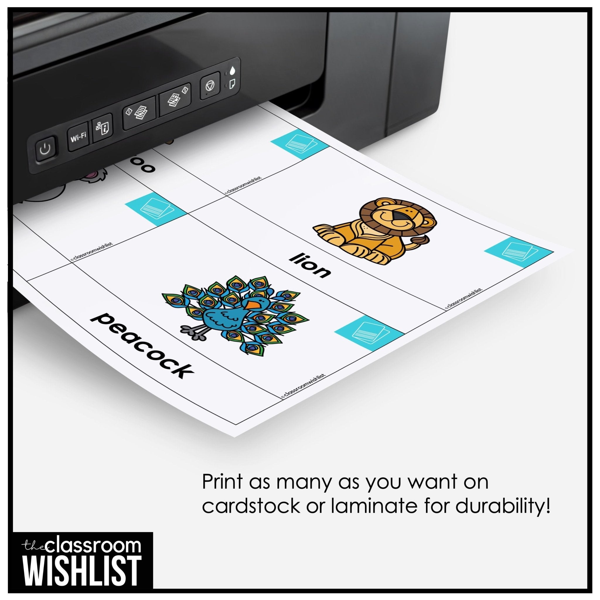 Animals Flashcard Bundle | Zoo, Farm & Pets | Flash Cards & Picture Dictionary - Hot Chocolate Teachables