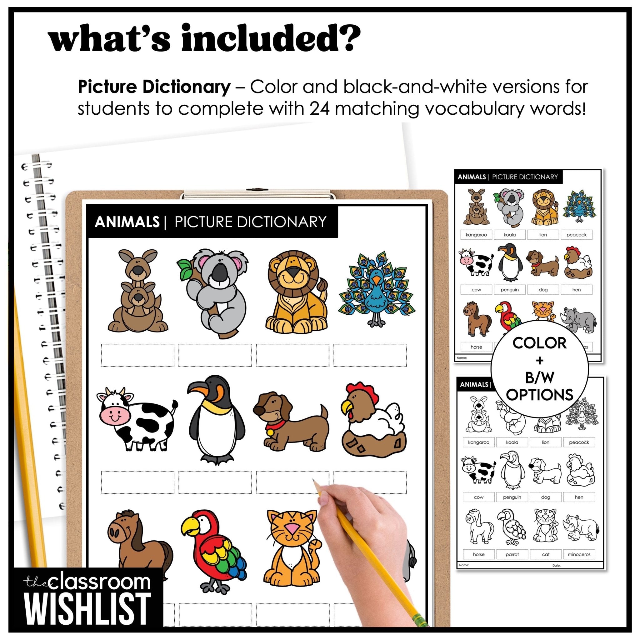 Animals Flashcard Bundle | Zoo, Farm & Pets | Flash Cards & Picture Dictionary - Hot Chocolate Teachables