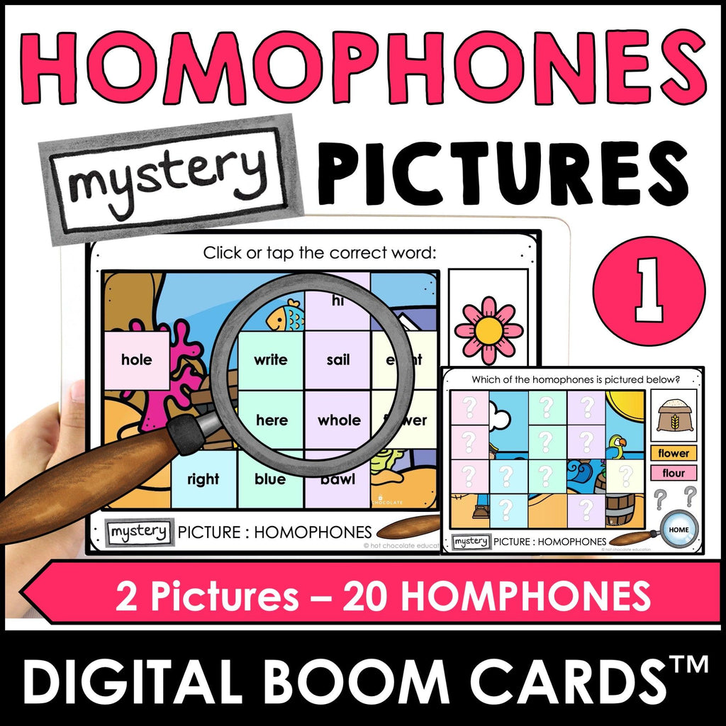 Antonym, Synonym, Homophone, Homonym Mystery Picture Boom Cards™ BUNDLE - Hot Chocolate Teachables