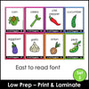Fruit & Vegetable Vocabulary Flashcards | ESL Task Cards - Hot Chocolate Teachables