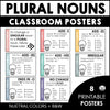 Plural Noun Spelling Rules Classroom Posters - s, es, ies, ves & Irregular NOUNS - Hot Chocolate Teachables