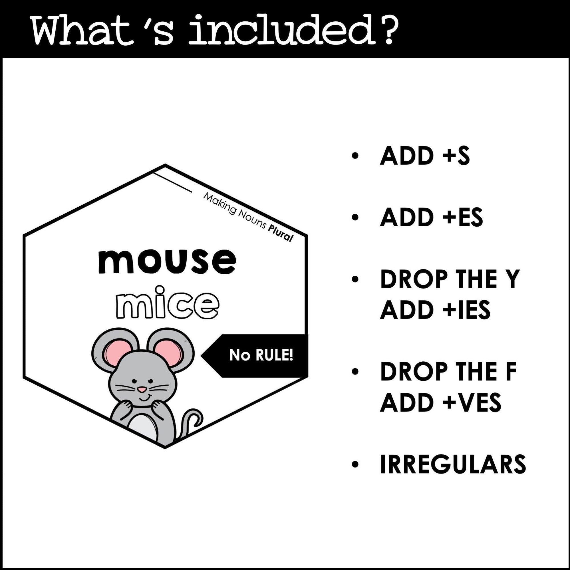 Plural Noun Spelling Posters Bulletin Board Hot Chocolate Teachables